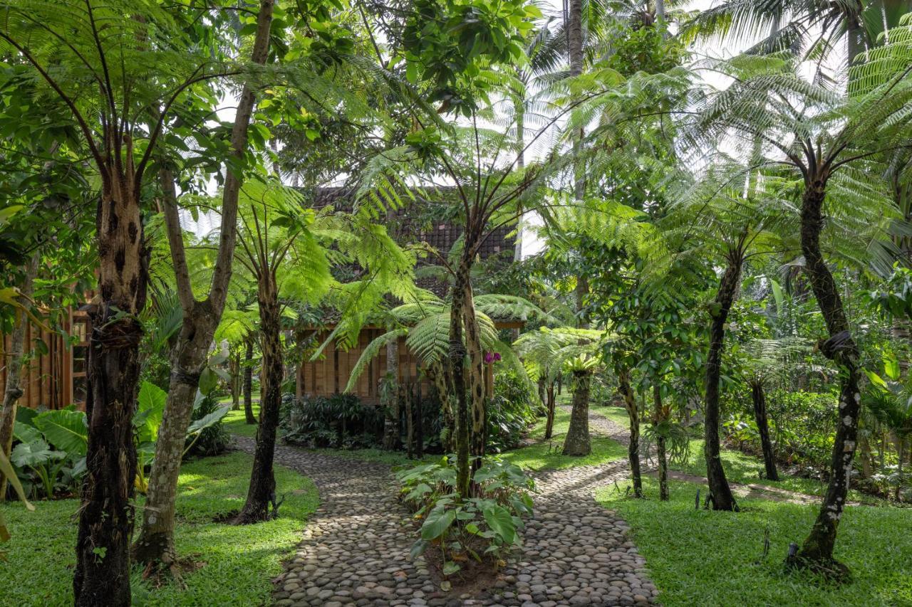 Rumah Kayu Resort Ubud Exterior foto